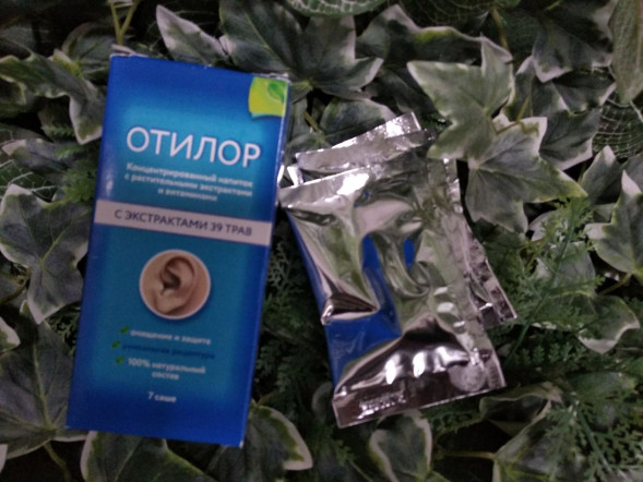 Отилор (Otilor) в Калининграде