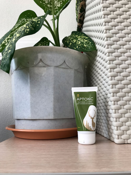 Артокс в Туле