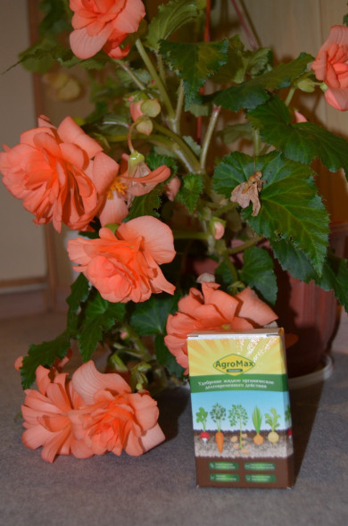 АгроМакс (AgroMax) в Москве