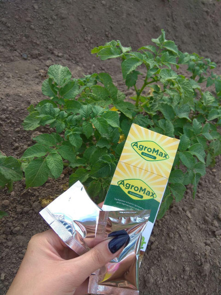 АгроМакс (AgroMax) в Москве