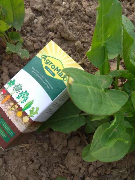 АгроМакс (AgroMax) в Москве