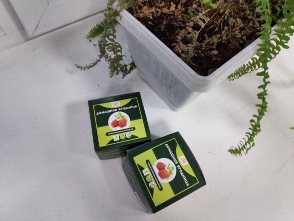 Домашняя ягодница &amp;quot;Кладовая природы&amp;quot; в Череповеце