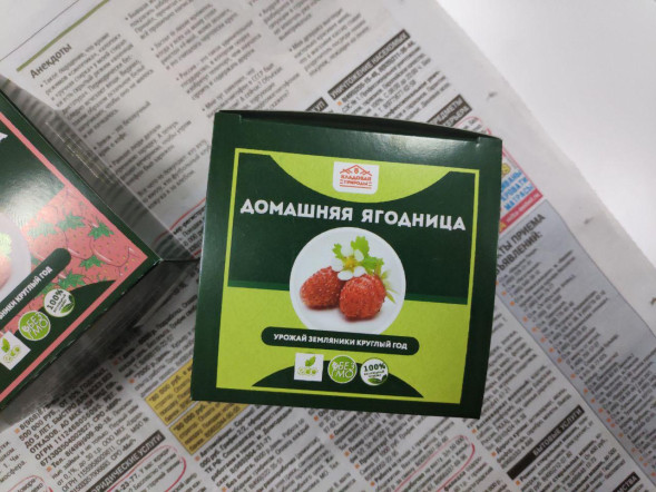 Домашняя ягодница &amp;quot;Кладовая природы&amp;quot; в Череповеце