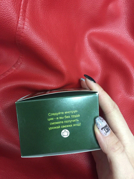 Домашняя ягодница &amp;quot;Кладовая природы&amp;quot; в Череповеце