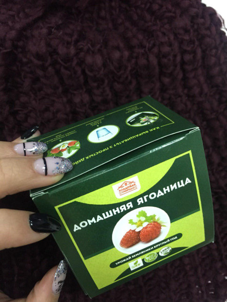 Домашняя ягодница &amp;quot;Кладовая природы&amp;quot; в Череповеце