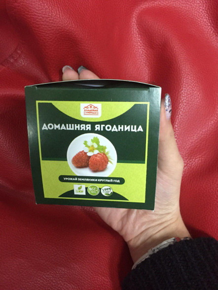 Домашняя ягодница &amp;quot;Кладовая природы&amp;quot; в Череповеце