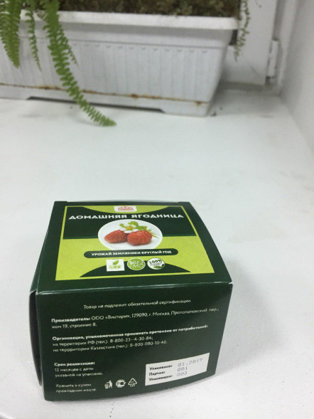 Домашняя ягодница &amp;quot;Кладовая природы&amp;quot; в Череповеце