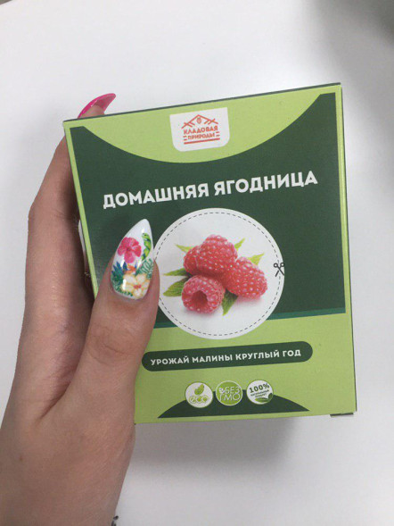 Домашняя ягодница &amp;quot;Кладовая природы&amp;quot; в Череповеце