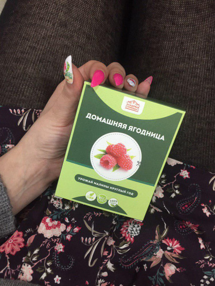 Домашняя ягодница &amp;quot;Кладовая природы&amp;quot; в Череповеце