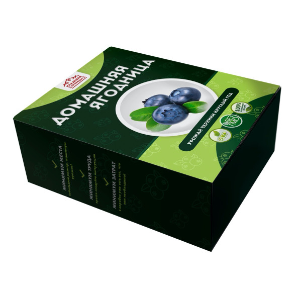 Домашняя ягодница &amp;quot;Кладовая природы&amp;quot; в Череповеце