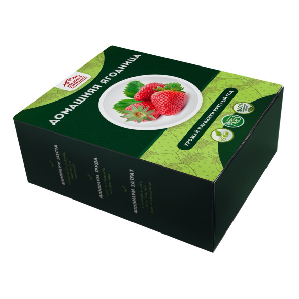 Домашняя ягодница &amp;quot;Кладовая природы&amp;quot; в Череповеце