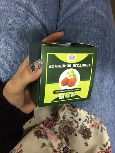 Домашняя ягодница &amp;quot;Кладовая природы&amp;quot; в Череповеце