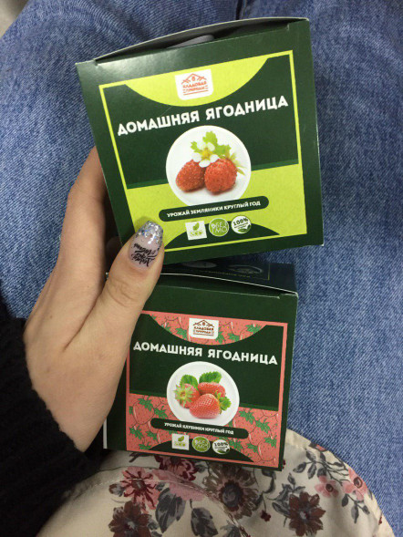 Домашняя ягодница &amp;quot;Кладовая природы&amp;quot; в Череповеце