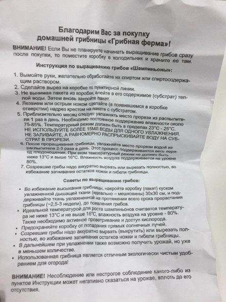 Домашняя грибница в Москве