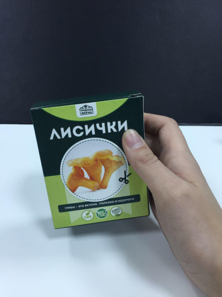 Домашняя грибница в Москве