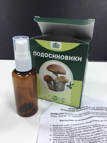 Домашняя грибница в Москве