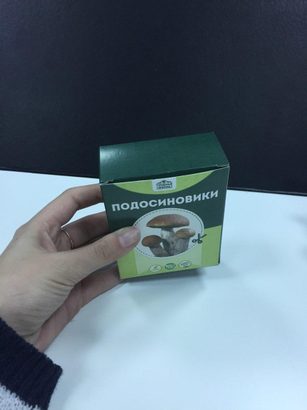 Домашняя грибница в Москве