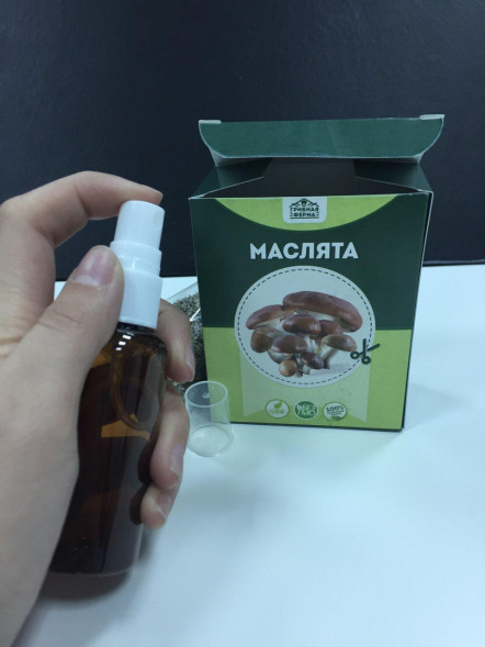 Домашняя грибница в Москве