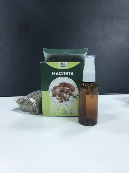 Домашняя грибница в Москве