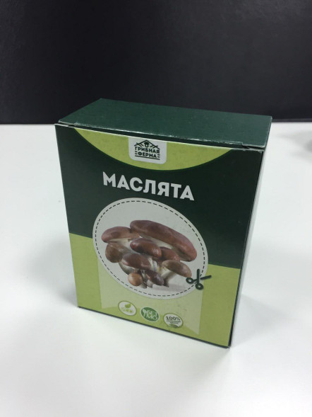 Домашняя грибница в Москве