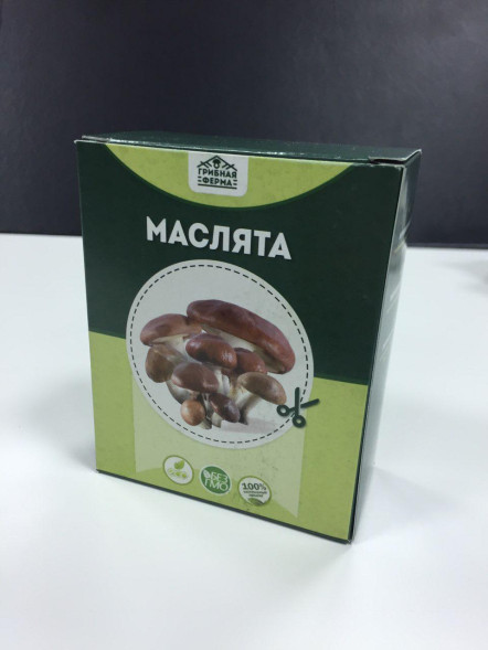 Домашняя грибница в Москве