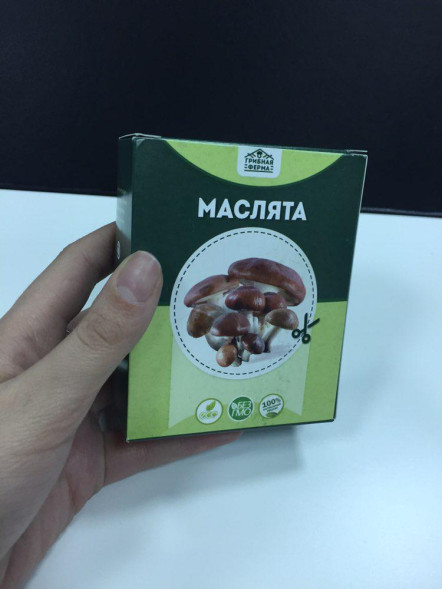 Домашняя грибница в Москве