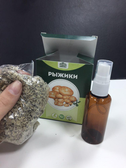 Домашняя грибница в Москве