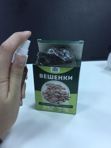 Домашняя грибница в Москве