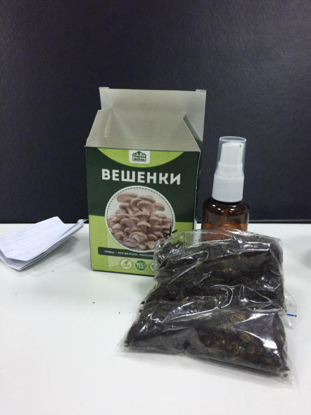 Домашняя грибница в Москве