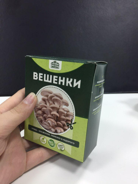 Домашняя грибница в Москве