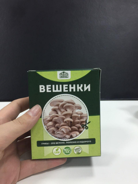 Домашняя грибница в Москве