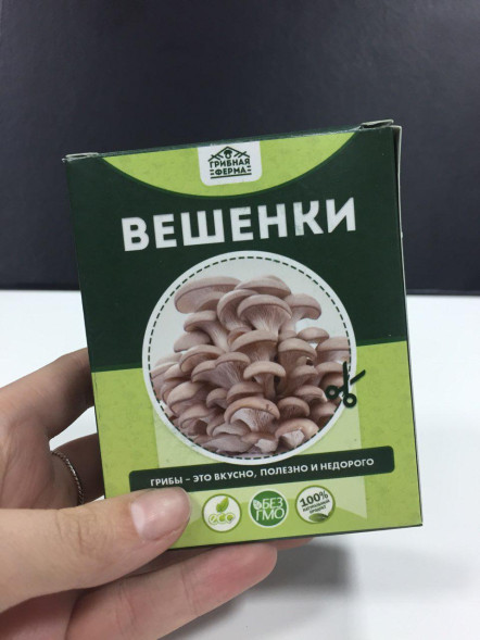 Домашняя грибница в Москве