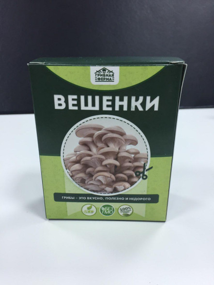 Домашняя грибница в Москве