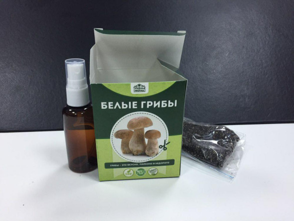 Домашняя грибница в Москве