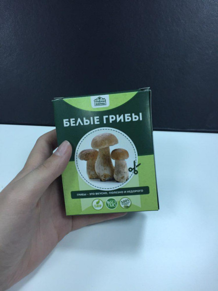 Домашняя грибница в Москве