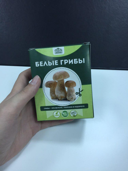 Домашняя грибница в Москве