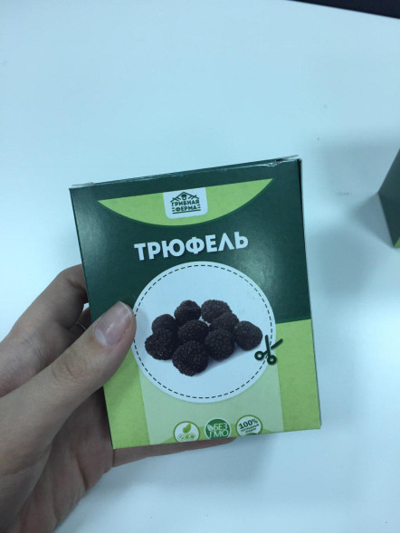 Домашняя грибница в Москве