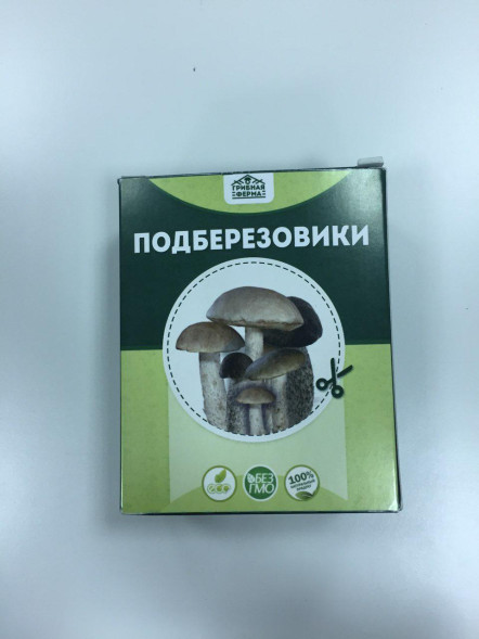 Домашняя грибница в Москве