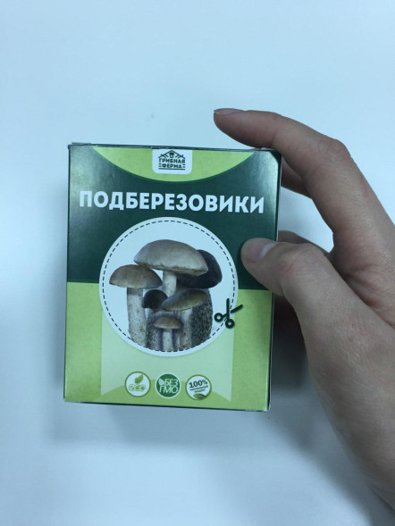 Домашняя грибница в Москве