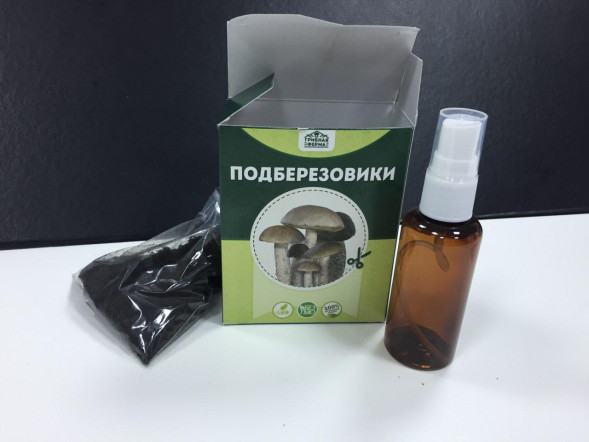 Домашняя грибница в Москве