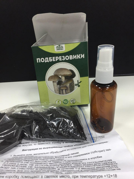 Домашняя грибница в Москве