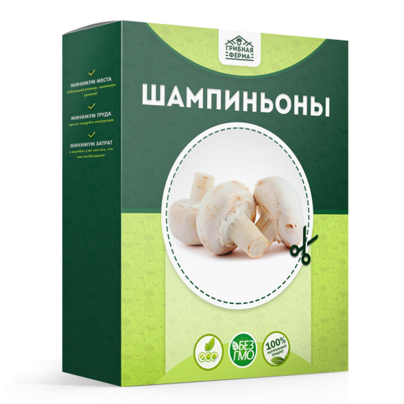 Домашняя грибница в Москве