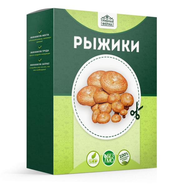 Домашняя грибница в Москве