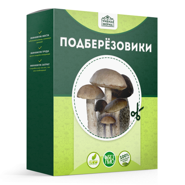 Домашняя грибница в Москве