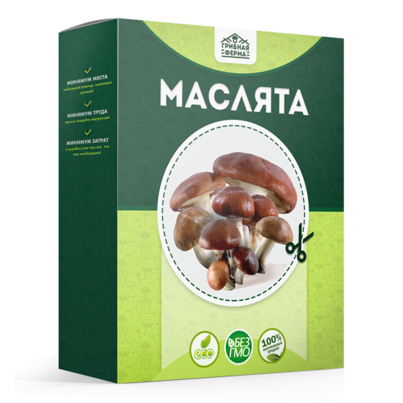 Домашняя грибница в Москве