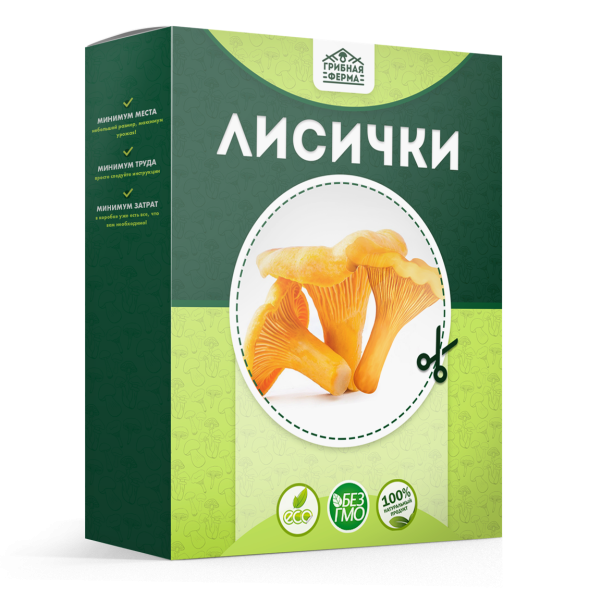 Домашняя грибница в Москве