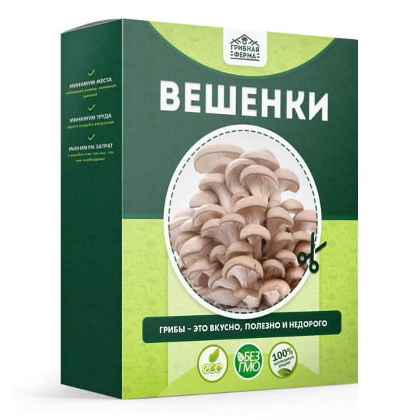 Домашняя грибница в Москве