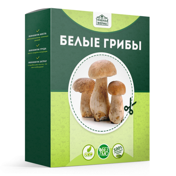 Домашняя грибница в Москве