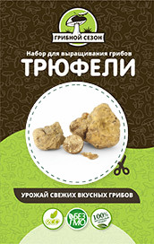 Домашняя грибница в Москве