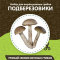 Домашняя грибница в Калининграде 6